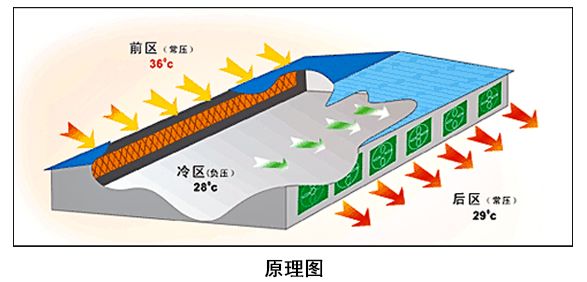 湿帘降温系统